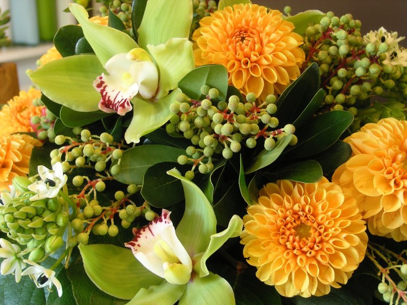 Sending Flower Bouquets and Arrangements for Deliver In Toronto